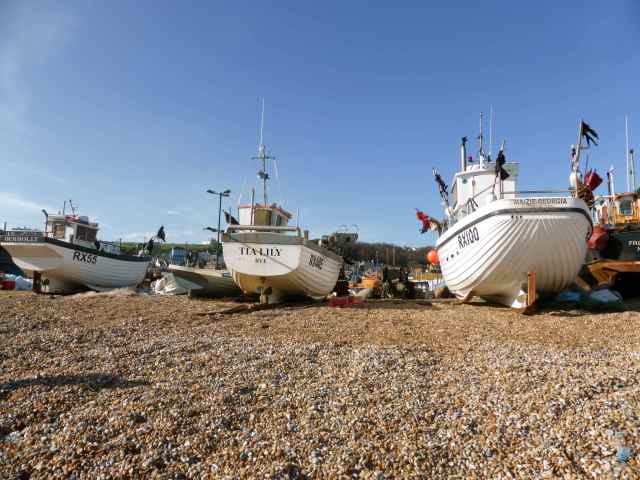 Hastings boats
